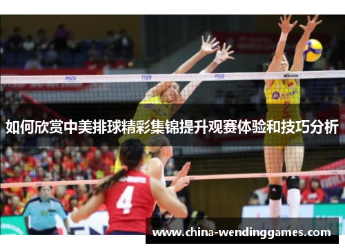 如何欣赏中美排球精彩集锦提升观赛体验和技巧分析