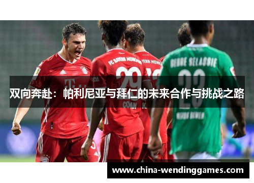 双向奔赴：帕利尼亚与拜仁的未来合作与挑战之路