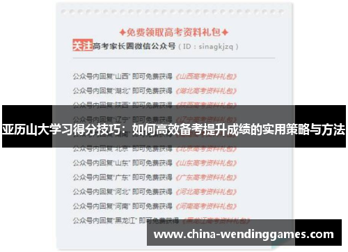 亚历山大学习得分技巧：如何高效备考提升成绩的实用策略与方法
