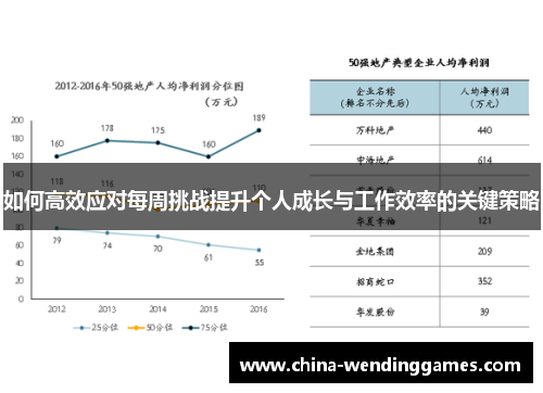 如何高效应对每周挑战提升个人成长与工作效率的关键策略