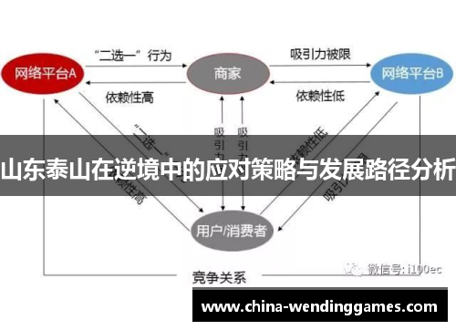 山东泰山在逆境中的应对策略与发展路径分析