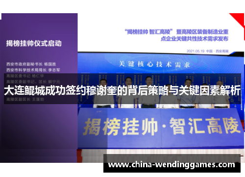 大连鲲城成功签约穆谢奎的背后策略与关键因素解析