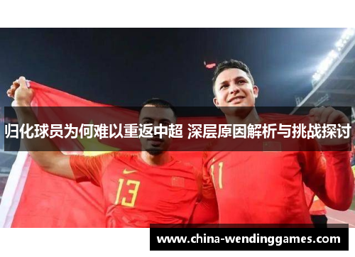 归化球员为何难以重返中超 深层原因解析与挑战探讨