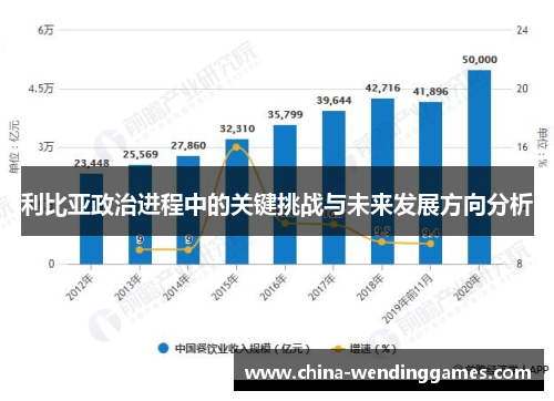 利比亚政治进程中的关键挑战与未来发展方向分析