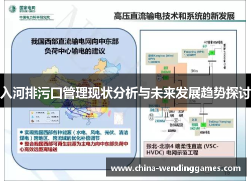 入河排污口管理现状分析与未来发展趋势探讨
