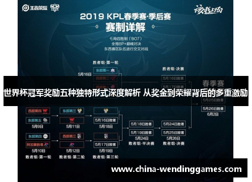 世界杯冠军奖励五种独特形式深度解析 从奖金到荣耀背后的多重激励
