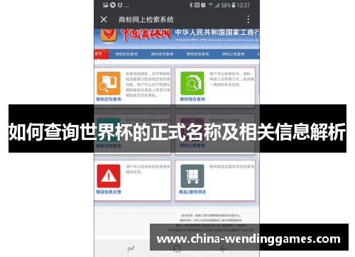 如何查询世界杯的正式名称及相关信息解析