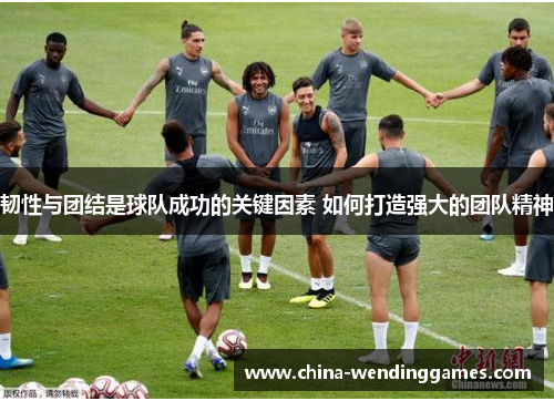 韧性与团结是球队成功的关键因素 如何打造强大的团队精神