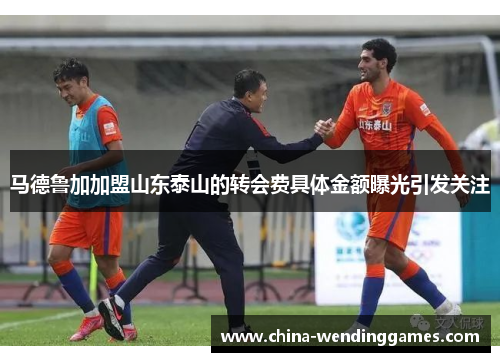 马德鲁加加盟山东泰山的转会费具体金额曝光引发关注 马德鲁加加盟山东泰山的转会费具体金额曝光引发关注