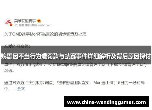 魏震因不当行为遭罚款与禁赛事件详细解析及背后原因探讨
