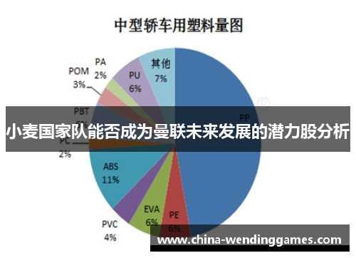 小麦国家队能否成为曼联未来发展的潜力股分析 小麦国家队能否成为曼联未来发展的潜力股分析