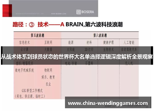 从战术体系到球员状态的世界杯大名单选择逻辑深度解析全景观察