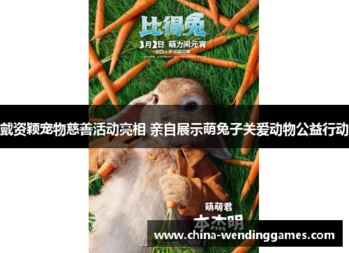 戴资颖宠物慈善活动亮相 亲自展示萌兔子关爱动物公益行动 戴资颖宠物慈善活动亮相 亲自展示萌兔子关爱动物公益行动