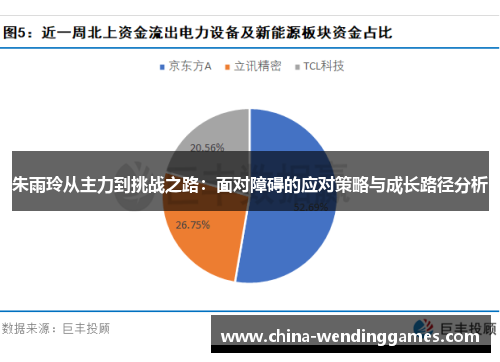 朱雨玲从主力到挑战之路：面对障碍的应对策略与成长路径分析